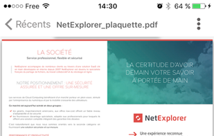 NetExplorer screenshot 1