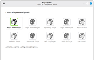 Fingwit screenshot 1