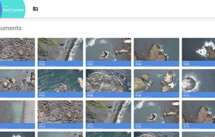Project screen with documents uploaded. 