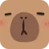 Typibara icon