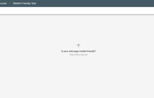 Google Mobile Friendly Test screenshot 1
