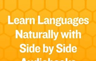 Beelinguapp screenshot 2