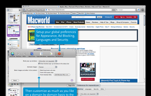 OmniWeb screenshot 2