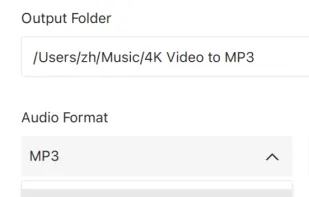 4K Video to MP3 screenshot 3