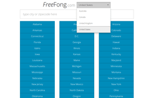 FreeFong screenshot 1