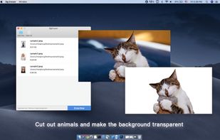 Bg Eraser screenshot 3