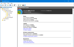 VisualSVN Server screenshot 1