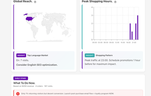 Visualizes where visitors come from and when they shop, then turns it into a clear “What to do now” action list (e.g., SEO focus, promo timing, retention next steps).