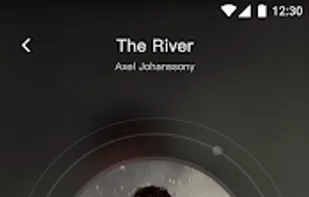Insight Music Downloader screenshot 2
