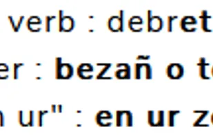 Verb page "debriñ", with some information and a copy button.