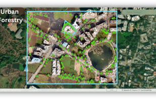 Sustainable Urban Forestry: Monitor and manage urban forests effectively with Aakashe’s high-resolution images, supporting biodiversity and green spaces.
Resource Optimization: Optimize resources and efforts in maintaining urban forestry with precise data on tree coverage and health.
