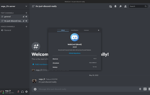 WebCord screenshot 1