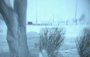 Wandering Souls screenshot 1