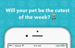 Cutesy - The cutest pets! screenshot 3