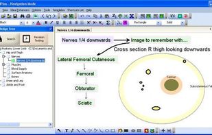 RecallPlus screenshot 3