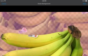 Pantry Check screenshot 1