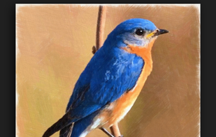 Artomaton screenshot 1