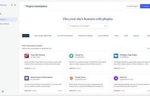 WordPress screenshot 2