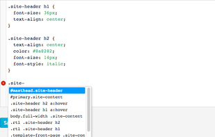SiteOrigin CSS screenshot 1