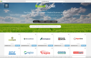 BrandBucket screenshot 1