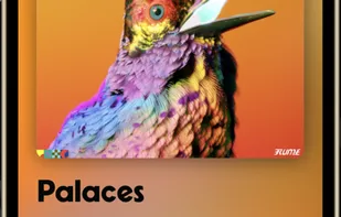 NowPlaying Music Trivia screenshot 1