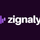 Zignaly icon