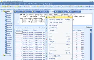 SQLite Expert screenshot 2