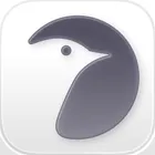 Messenger Pigeon icon