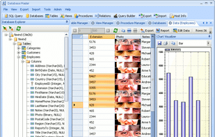 Database Master Main View