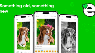 Ente Photos 1.2 adds custom gallery grouping, advanced editor, and privacy mode image