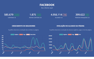 Reportei screenshot 1