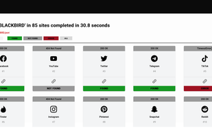 Blackbird OSINT screenshot 1