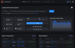 Cardanoscan.io - Community built Cardano explorer and analytics