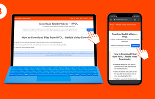 RedditVideodl.com screenshot 2