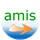 AMIS Icon