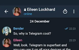 Telegram X screenshot 2