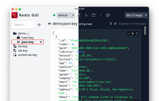 Redis GUI (unofficial) screenshot 1