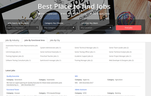 LS Jobber - Job Board Software  screenshot 3