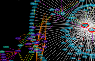 Cytoscape screenshot 1
