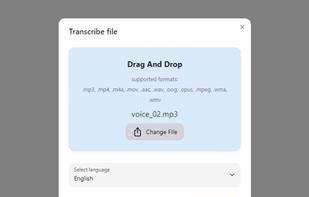 TranscribetoText.ai screenshot 1