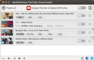 MediaHuman YouTube Downloader screenshot 3