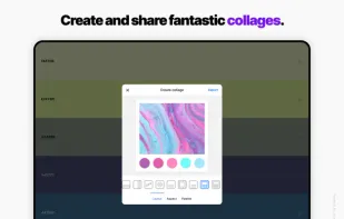Coolors screenshot 3
