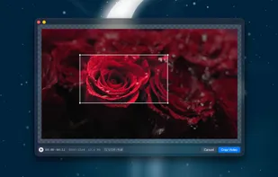 VidCrop screenshot 1