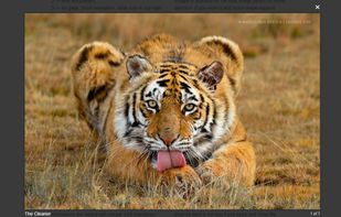 Magnific Popup screenshot 1