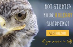Gift Falcon screenshot 1