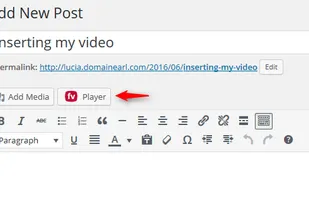 FV Player screenshot 2