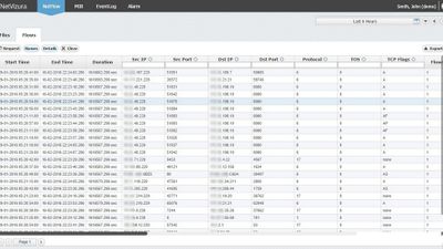 NetVizura NetFlow Analyzer - Raw data (flow records)
