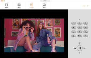 preview your DVD project