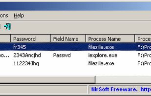 BulletsPassView screenshot 1