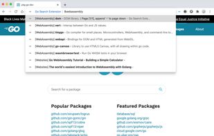 Awesome golang list search